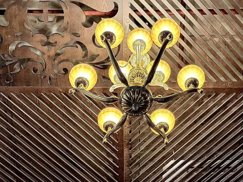 Wild Swan lighting